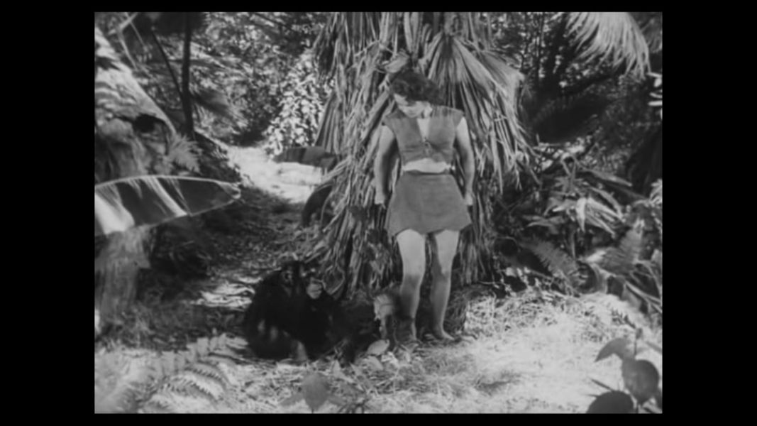 (Bild für) Tarzan greift ein - 1950 (DVD+R uncut)