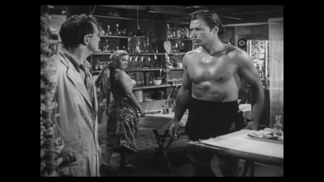 (Bild für) Tarzan greift ein - 1950 (DVD+R uncut)