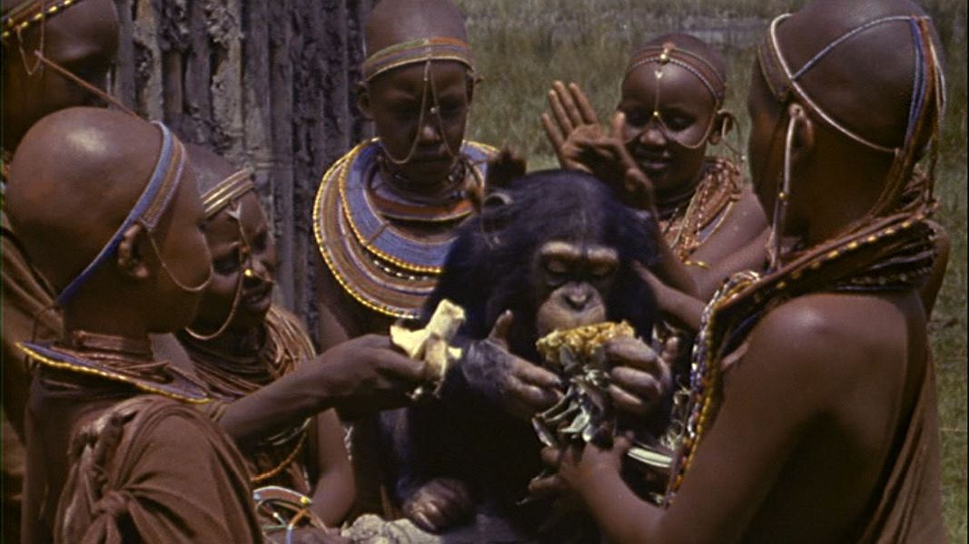 (Bild für) Tarzan der Gewaltige (DVD+R uncut)