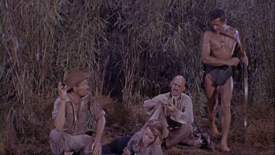 (Bild für) Tarzan der Gewaltige (DVD+R uncut)