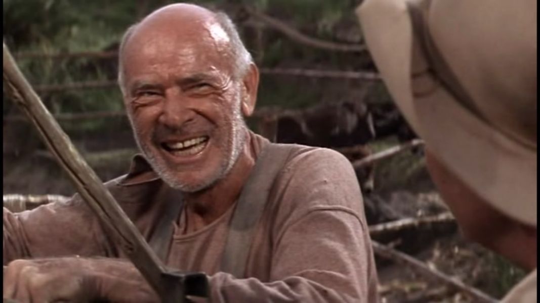 (Bild für) Totem - 1968 (DVD+R uncut)