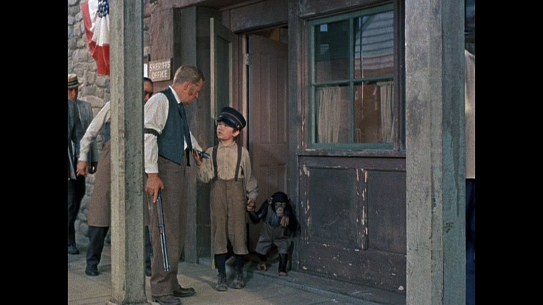 (Bild für) Toby Tyler - 1960 (DVD+R uncut)