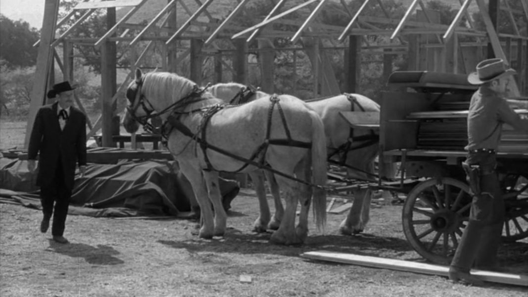 (Bild für) Der Schwarze Mustang - 1956 (DVD+R uncut)