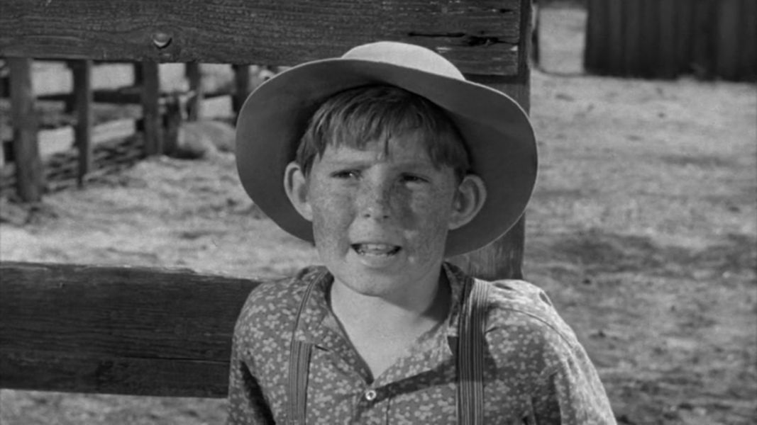 (Bild für) Der Schwarze Mustang - 1956 (DVD+R uncut)
