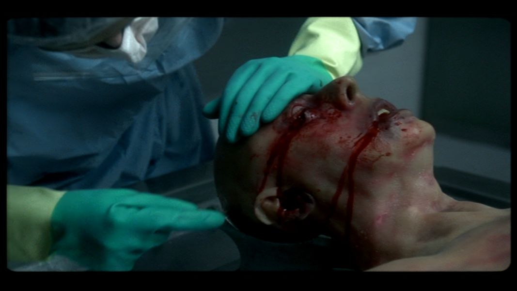 (Bild für) Aftermath - Nacho Cerda Collecters Edition - ab 1990 (DVD+R uncut)