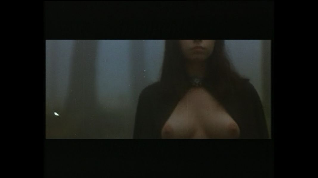 (Bild für) Erotikill - Lüsterne Vampire im Spermarausch - 1973 (DVD+R uncut)