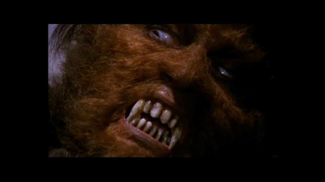 (Bild für) Die Nacht der blutigen Wölfe - 1972 (DVD+R uncut)