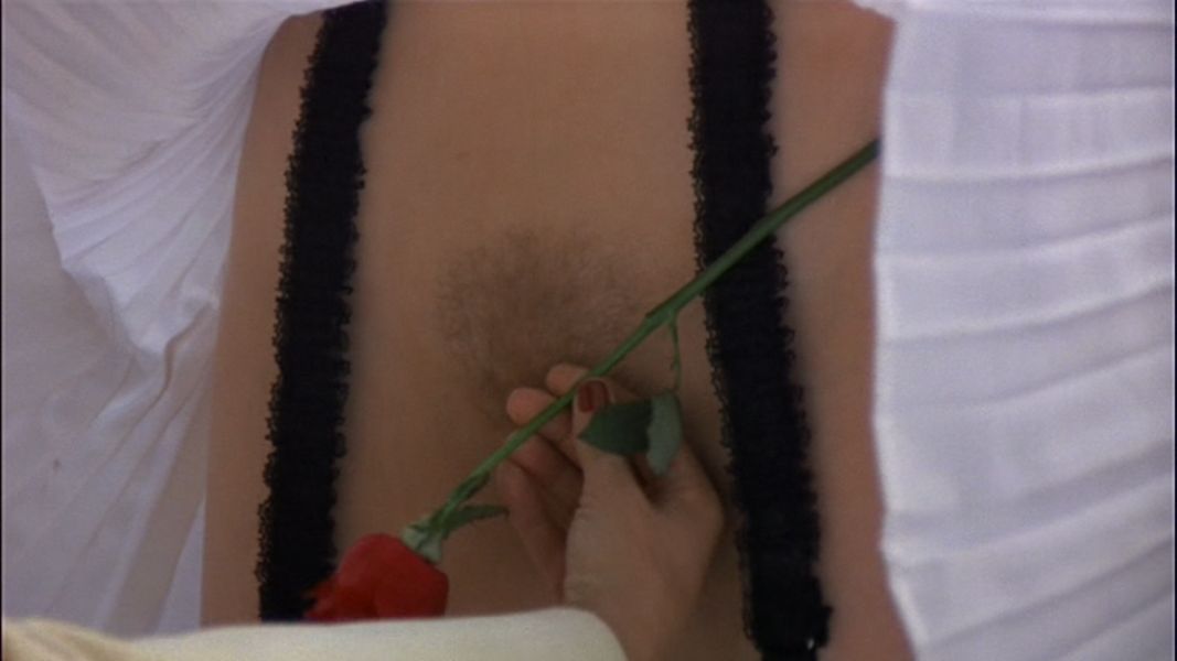 (Bild für) The Image - 1975 (DVD+R uncut)