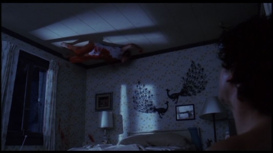(Bild für) A Nightmare on Elm Street - Extended Cut - 1984 (DVD+R uncut)