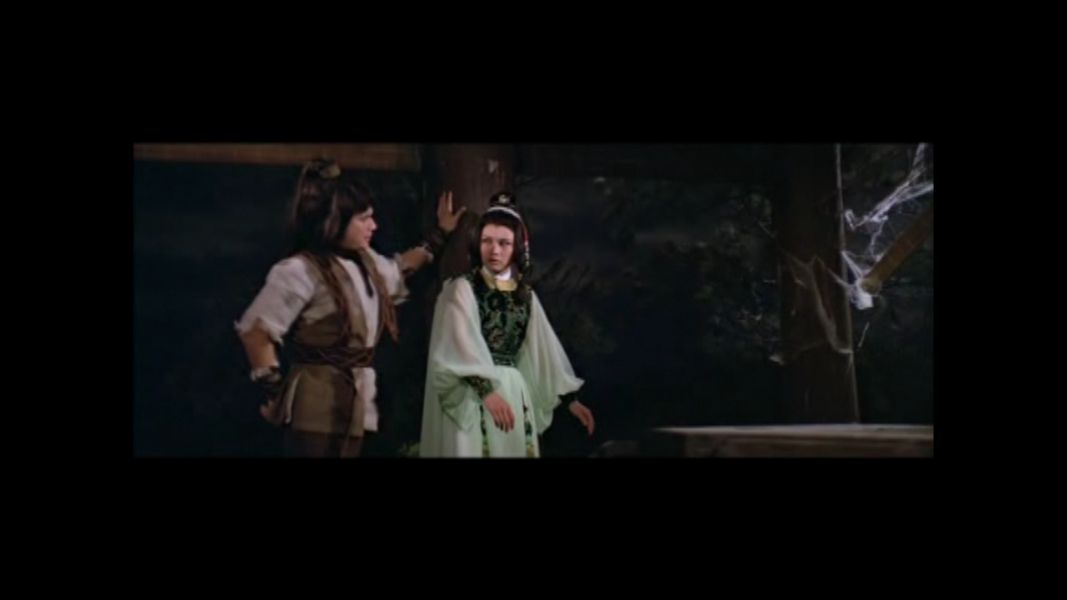 (Bild für) The Proud Twins - Die Eisenfaust - 1979 (DVD+R uncut)