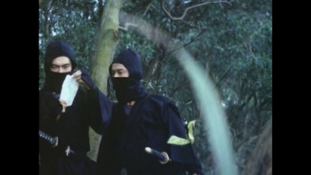 (Bild für) Der Clan der Ninja - 1981 (DVD+R uncut)