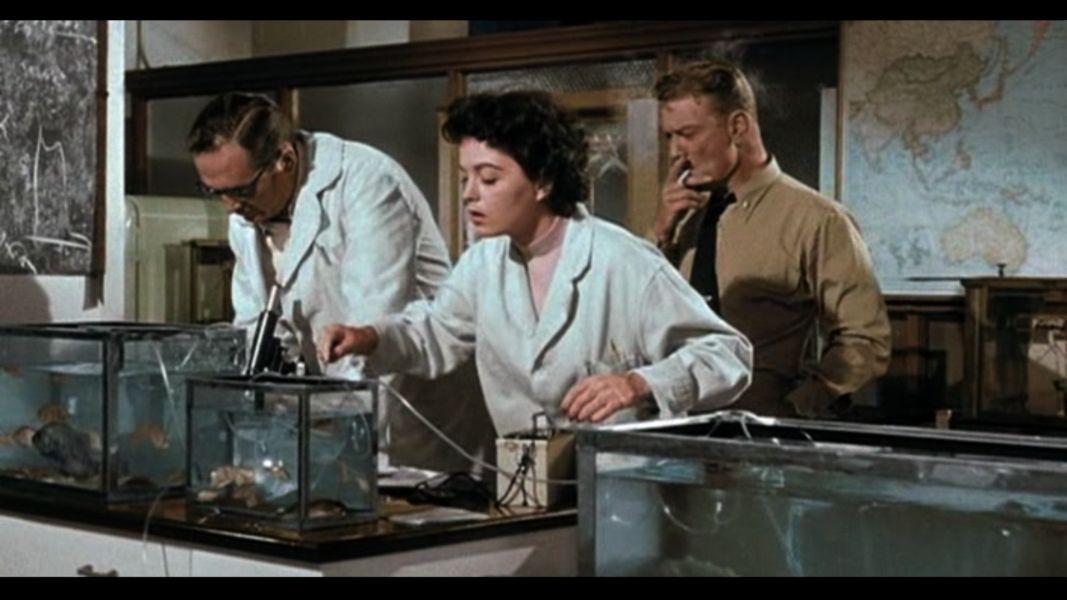 (Bild für) Das Grauen aus der Tiefe - 1955 (DVD+R uncut)