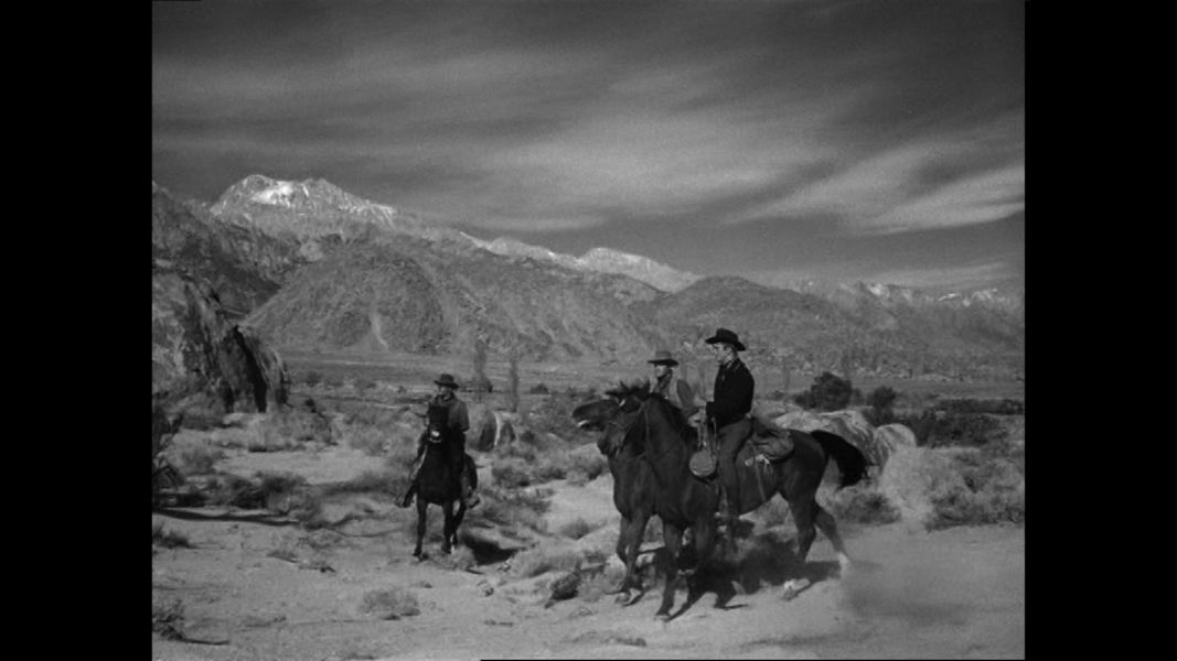 (Bild für) Den Hals in der Schlinge - 1951 (DVD+R uncut)