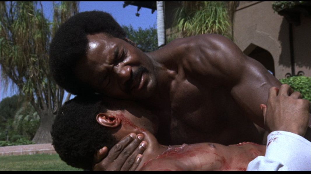 (Bild für) Black Gunn - 1972 (DVD+R uncut)