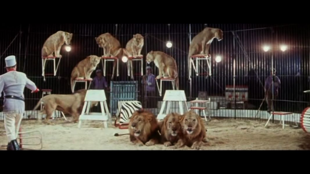 (Bild für) König der Spassmacher - 1958 (DVD+R uncut)