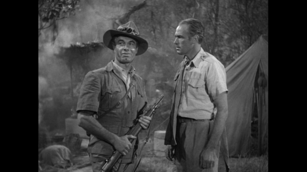 (Bild für) Tarzan - Der Verteidiger des Dschungels - 1952 (DVD+R uncut)