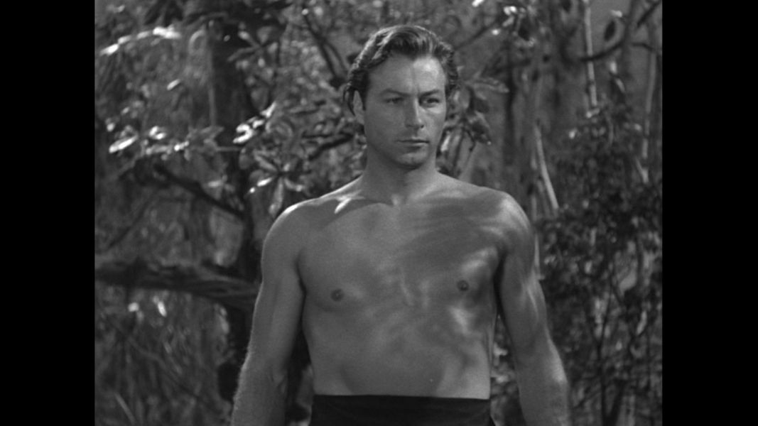 (Bild für) Tarzan - Der Verteidiger des Dschungels - 1952 (DVD+R uncut)