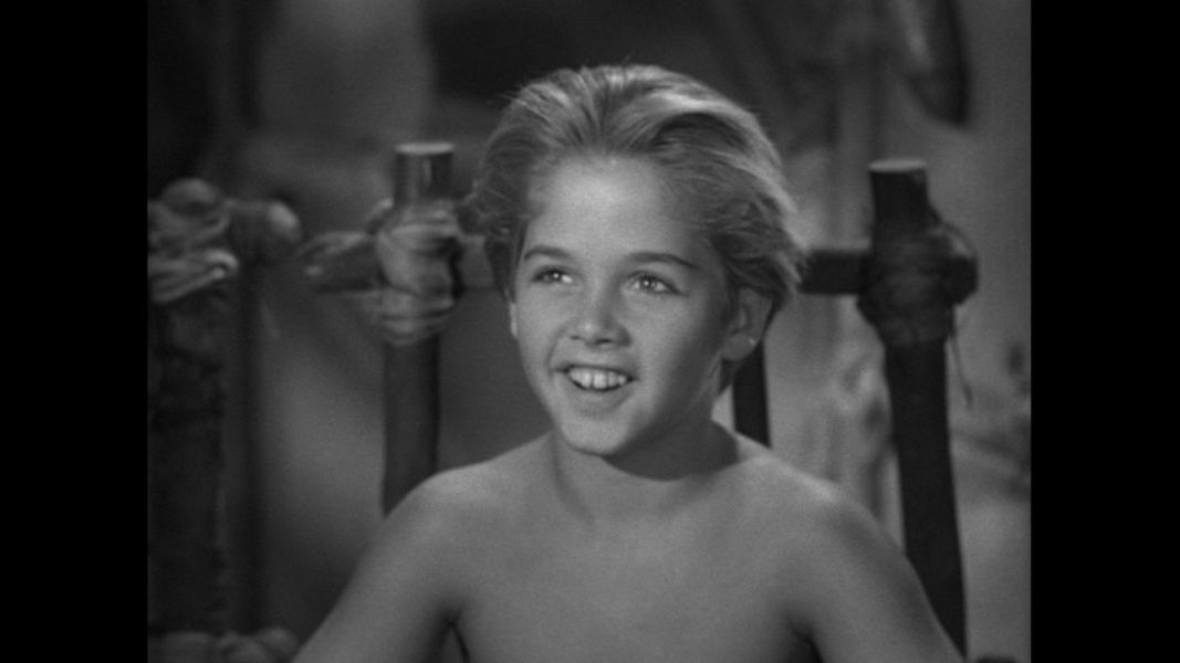 (Bild für) Tarzan - Der Verteidiger des Dschungels - 1952 (DVD+R uncut)