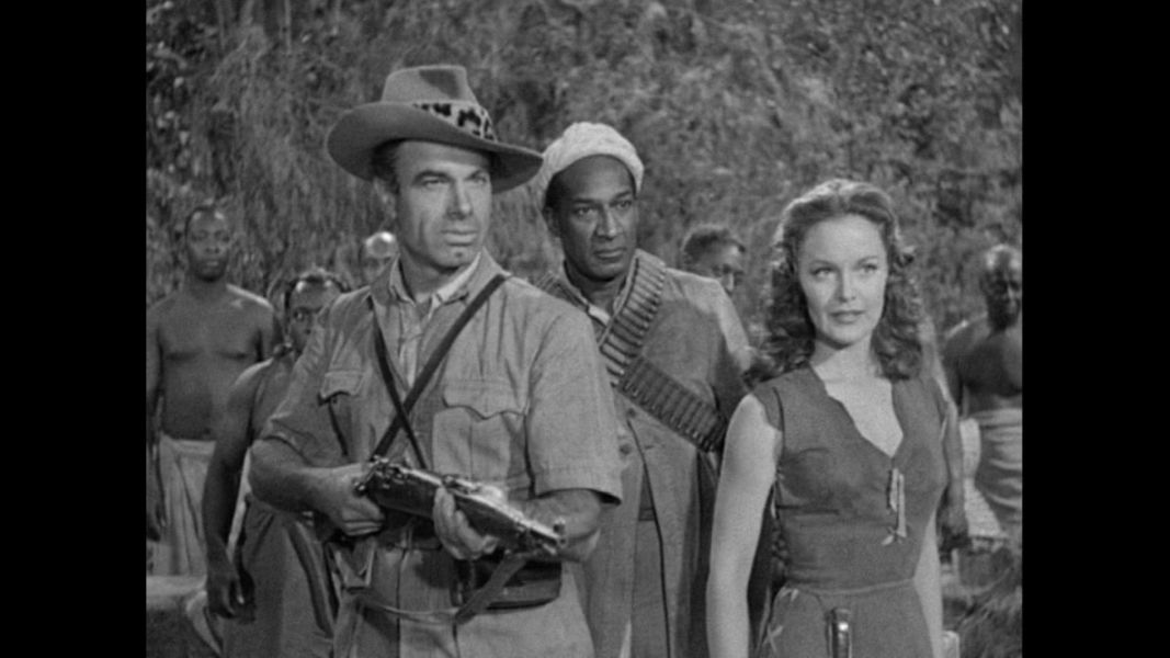 (Bild für) Tarzan - Der Verteidiger des Dschungels - 1952 (DVD+R uncut)