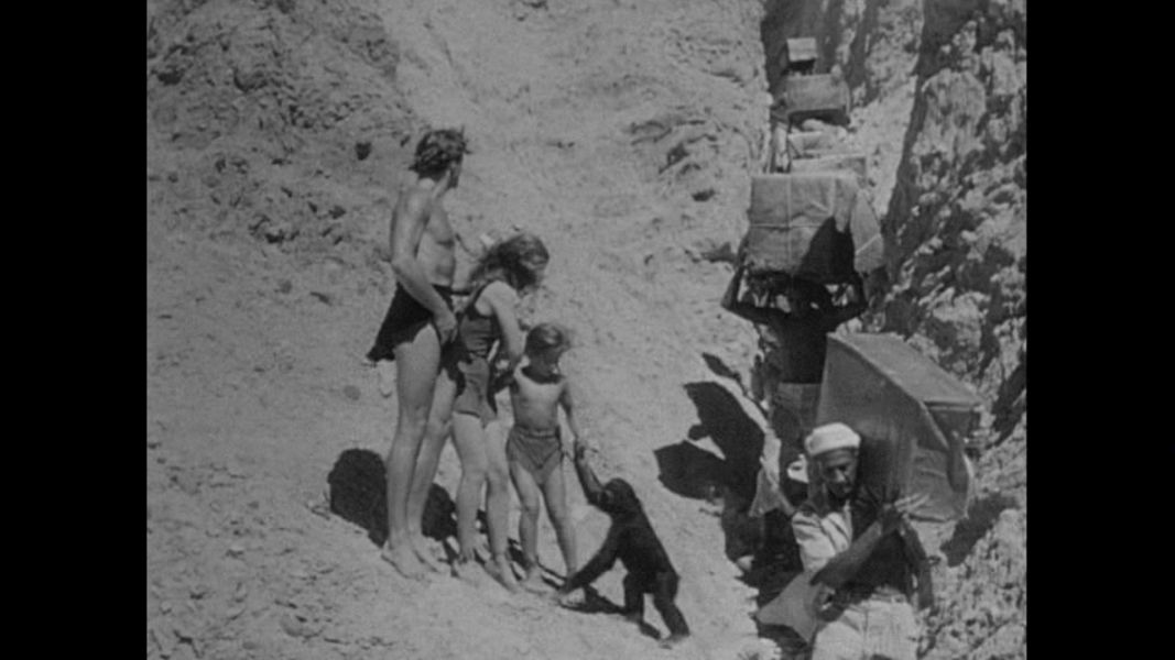 (Bild für) Tarzan - Der Verteidiger des Dschungels - 1952 (DVD+R uncut)