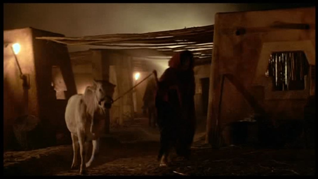 (Bild für) Beastmaster - Der Befreier - 1982 (DVD+R uncut)