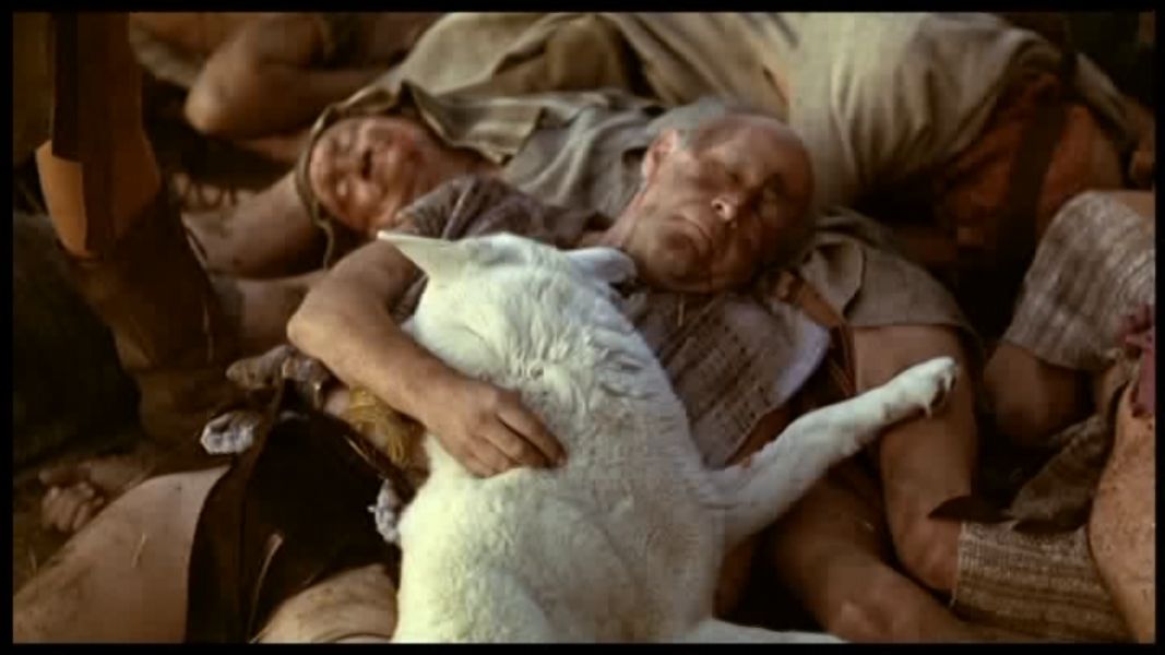 (Bild für) Beastmaster - Der Befreier - 1982 (DVD+R uncut)