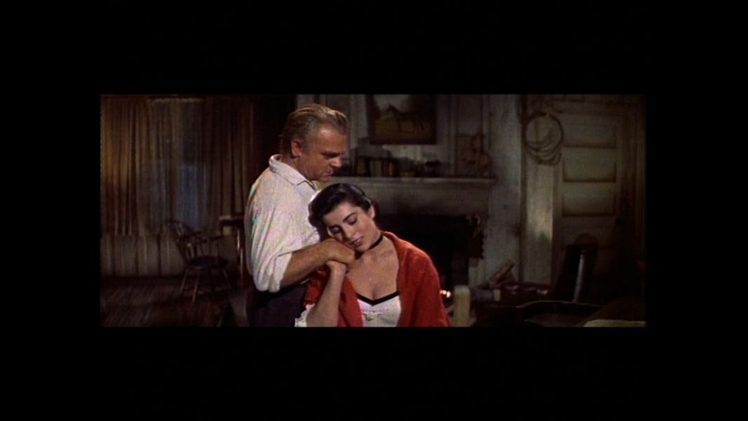 (Bild für) Mein Wille ist Gesetz - 1955 (DVD+R uncut)