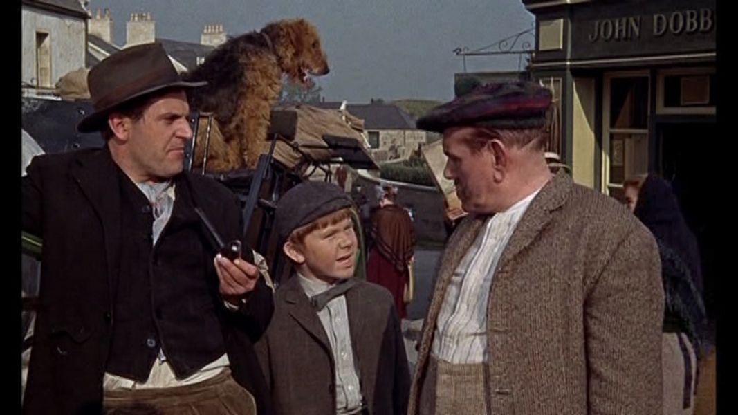 (Bild für) Die Drei Leben des Thomasina - 1964 (DVD+R uncut)