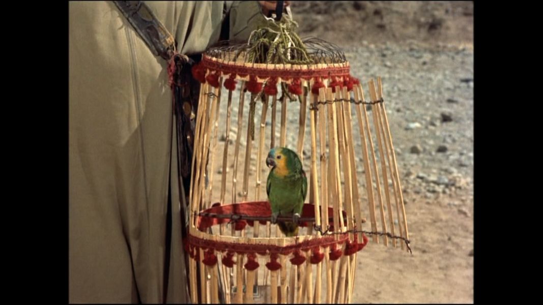 (Bild für) Ali Baba und die 40 Räuber - 1954 (DVD+R uncut)