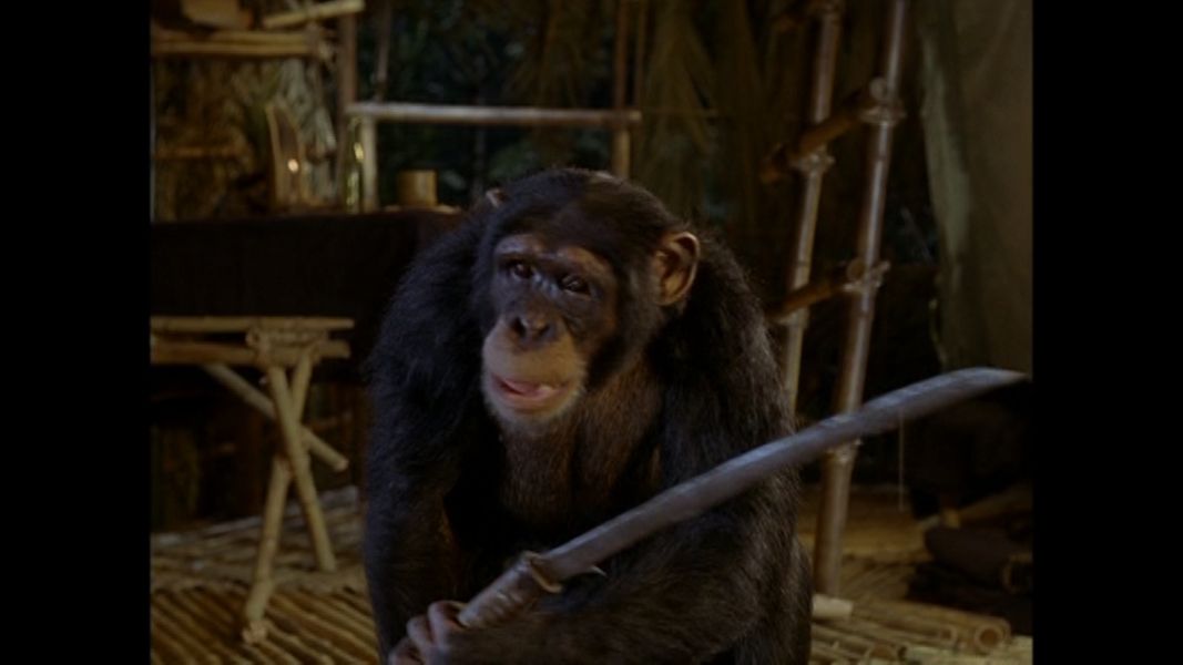 (Bild für) Robin Crusoe, der Amazonenhäuptling - 1966 (DVD+R uncut)
