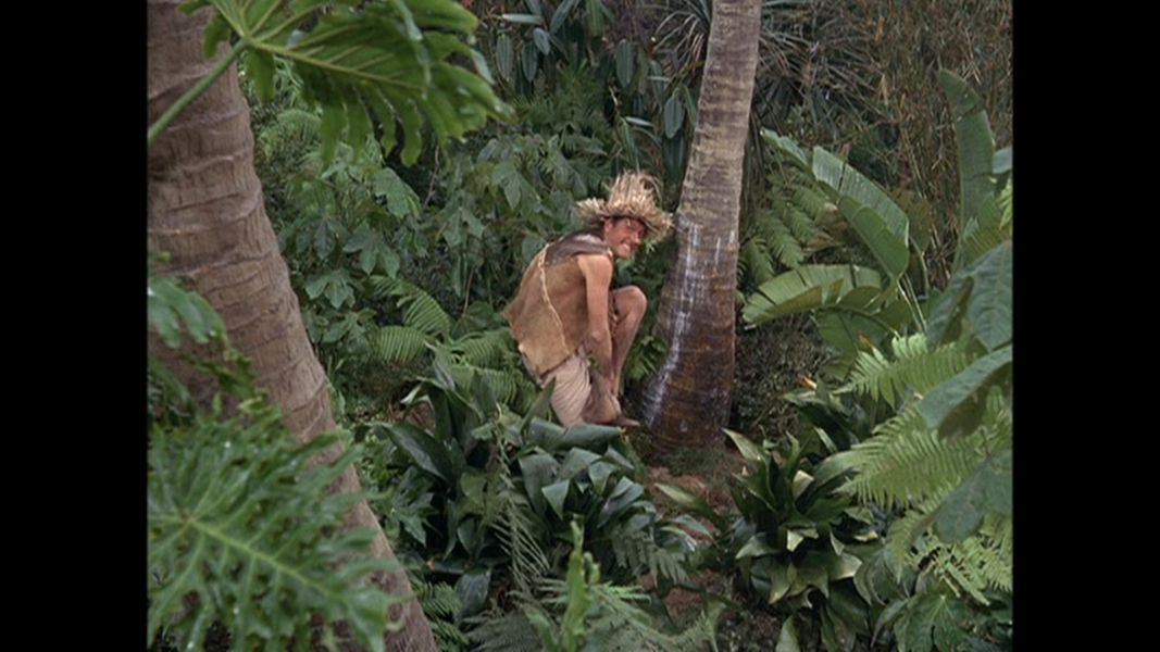 (Bild für) Robin Crusoe, der Amazonenhäuptling - 1966 (DVD+R uncut)