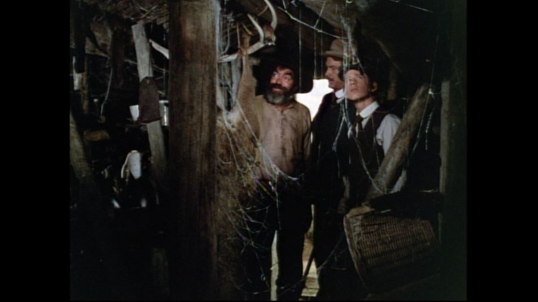 (Bild für) Rauhes Land - 1970 (DVD+R uncut)