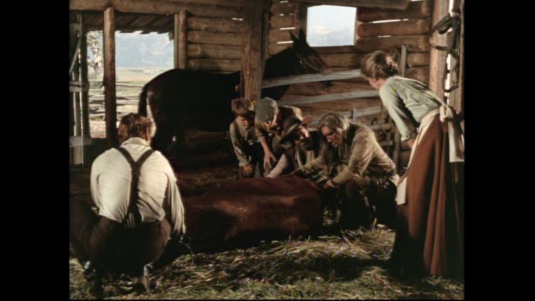 (Bild für) Rauhes Land - 1970 (DVD+R uncut)