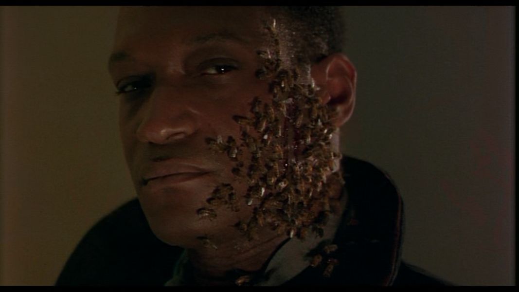 (Bild für) Candyman 2 - Die Blutrache -1999 (DVD+R uncut)