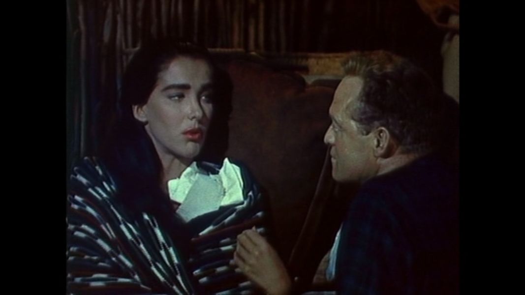 (Bild für) Der letzte Rebell - 1953 (DVD+R uncut)