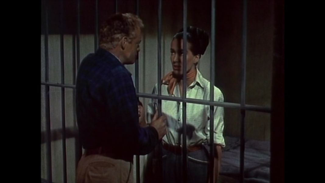 (Bild für) Der letzte Rebell - 1953 (DVD+R uncut)