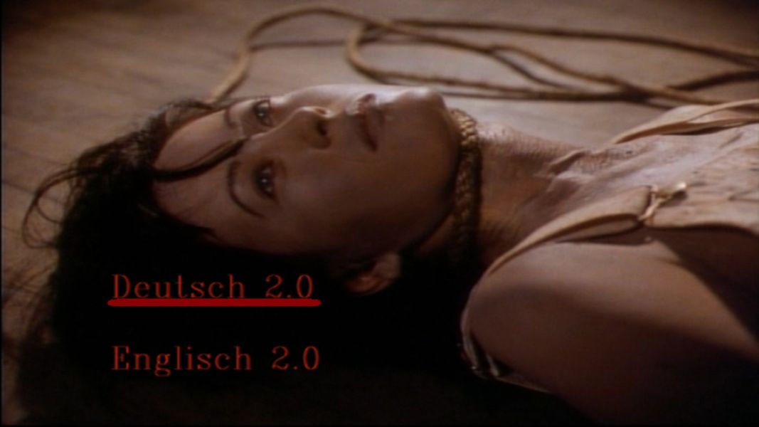 (Bild für) Amityville 7 - 1993 (DVD+R uncut)
