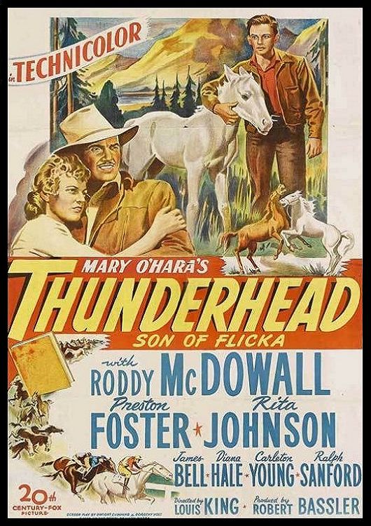 (Bild für) Thunderhead - Sohn von Flicka - 1945 (DVD+R uncut)