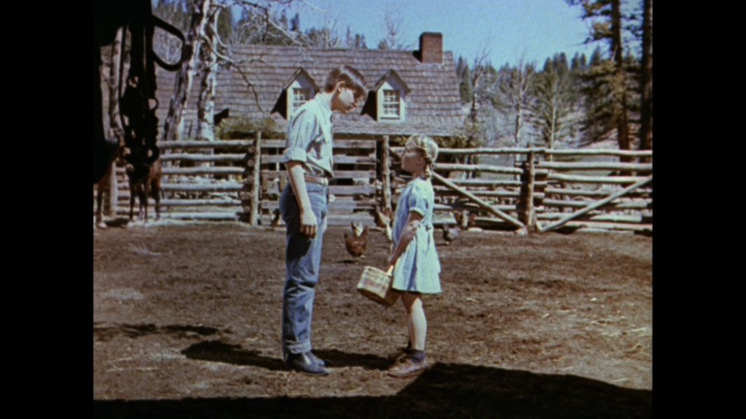 (Bild für) Thunderhead - Sohn von Flicka - 1945 (DVD+R uncut)