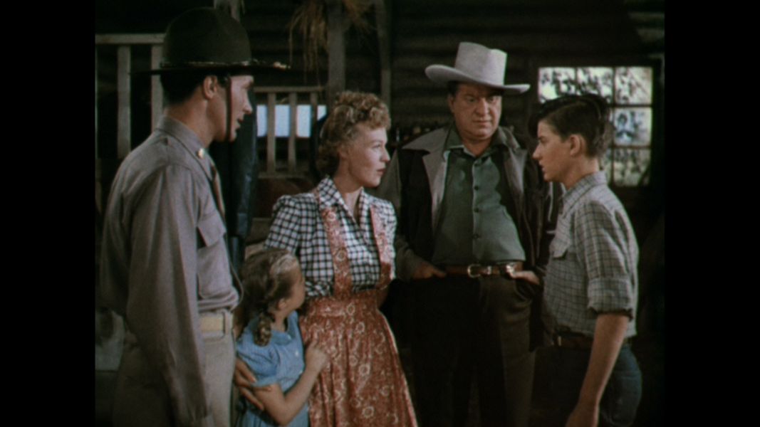 (Bild für) Thunderhead - Sohn von Flicka - 1945 (DVD+R uncut)