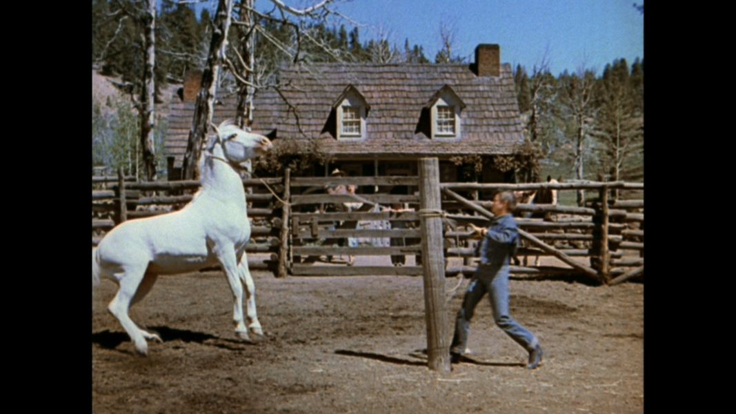 (Bild für) Thunderhead - Sohn von Flicka - 1945 (DVD+R uncut)
