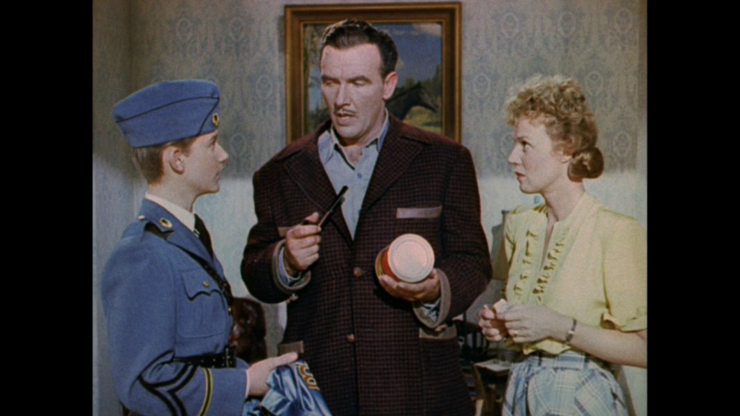 (Bild für) Thunderhead - Sohn von Flicka - 1945 (DVD+R uncut)