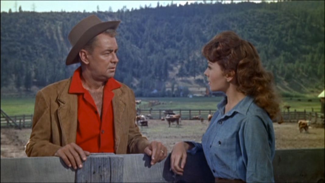(Bild für) Er kam, sah und siegte - 1960 (DVD+R uncut)