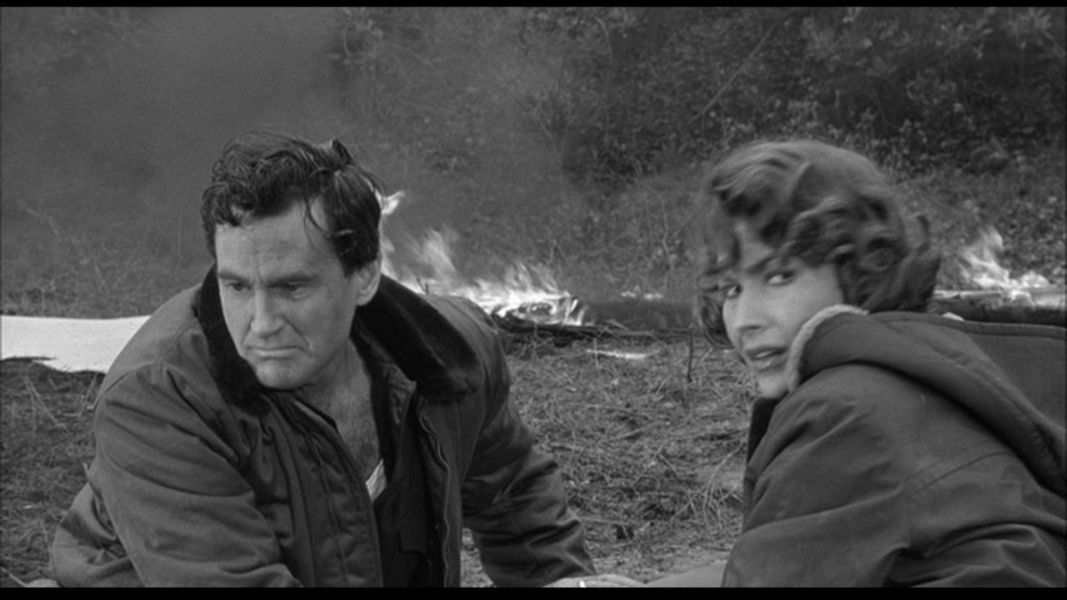 (Bild für) Angriff der Riesenkralle - 1957 (DVD+R uncut)