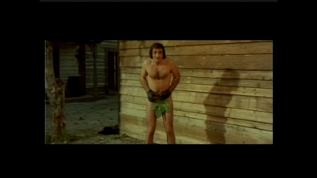 (Bild für) Kennst Du das Land, wo blaue Bohnen blühn? - 1973 (DVD+R)
