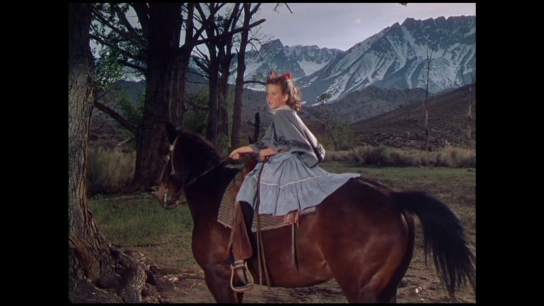 (Bild für) Revolver-Lady - 1950 (DVD+R uncut)