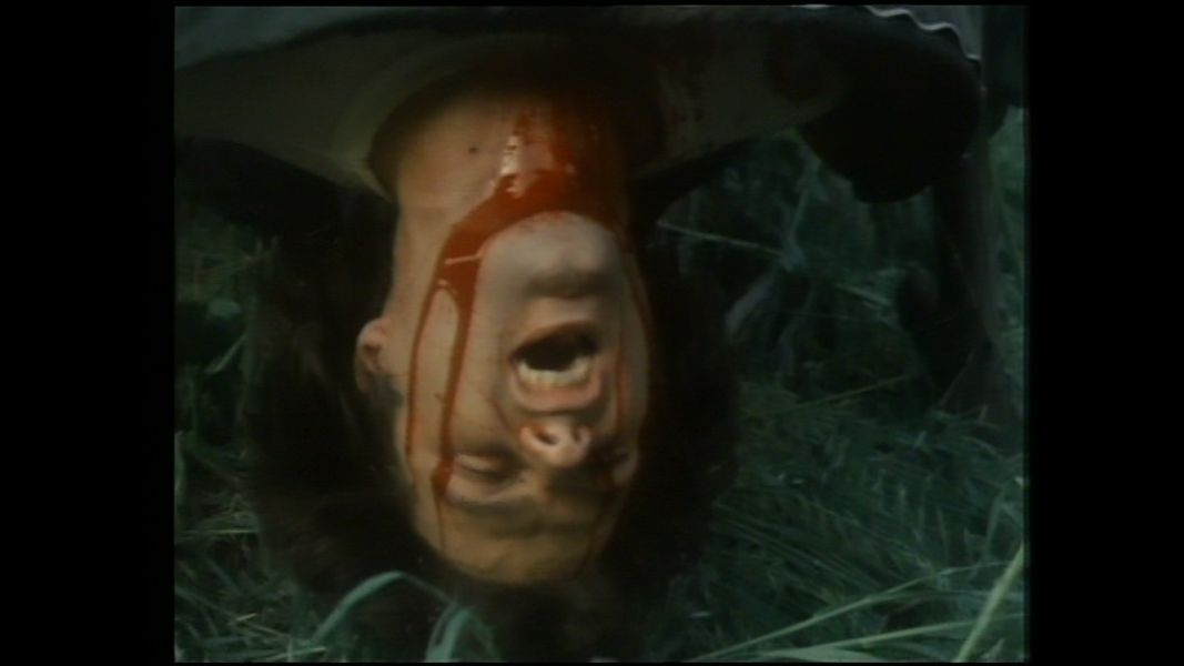 (Bild für) Night of the Demon - 1980 (DVD+R uncut)