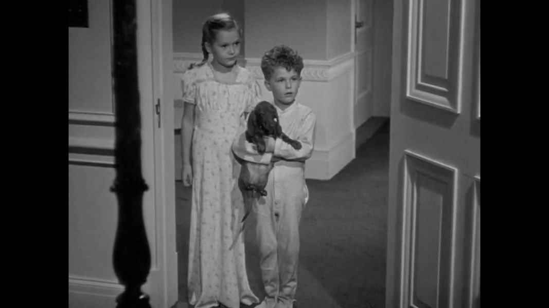(Bild für) Der Große McGinty - 1940 (DVD+R uncut)
