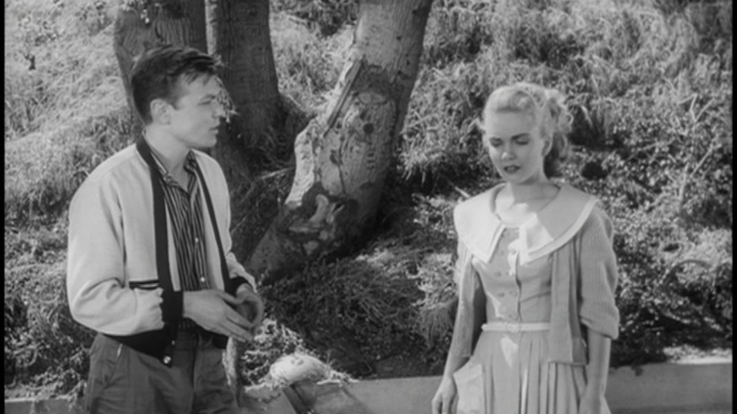 (Bild für) Die Rache der schwarzen Spinne - 1958 (DVD+R uncut)
