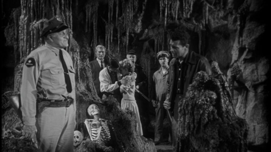 (Bild für) Die Rache der schwarzen Spinne - 1958 (DVD+R uncut)
